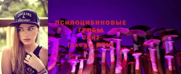 героин Данков